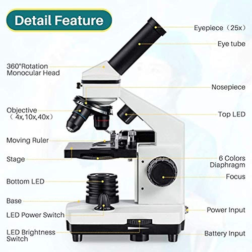 Microscopio 2000x Compuesto De Regla Móvil Led Con Preparada