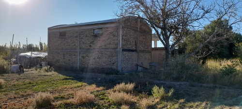 Imagen 12 de 12 de Finca 4 Has. G Alvear Mendoza. 100% En Producción. Casa Y Galpón. Sobre Asfalto. Podría Considerar Alguna Permuta Que No Sea Inmueble. Precio Conversable.