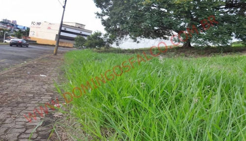 Imagem 7 de 13 de Venda - Terreno - Jardim São Domingos - Americana - Sp - D1313