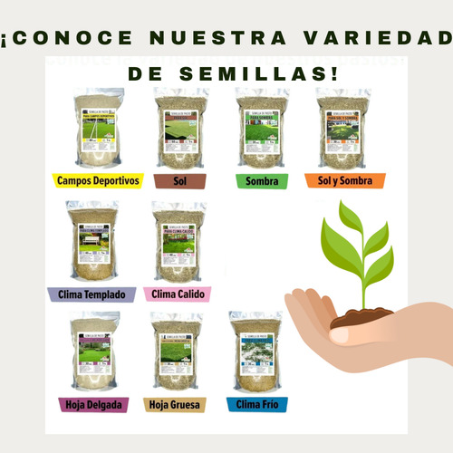 Semilla De Pasto Mezcla Germinaplus Clima Templado 1 Kg 40m2