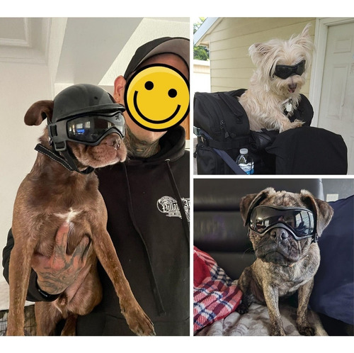 Casco De Moto Con Gafas For Perros Pequeños Y Medianos