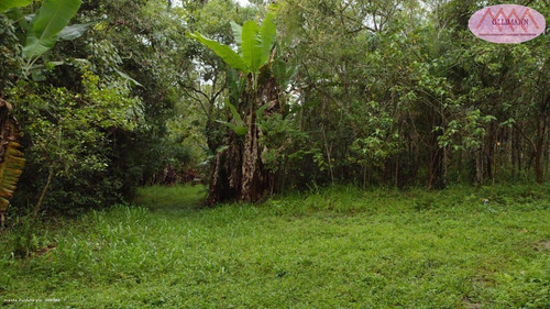 Imagem 14 de 15 de Chácara Para Venda Em Suzano, Ipelândia, 3 Dormitórios, 1 Suíte, 3 Banheiros, 1 Vaga - 0890_2022_2-1409469