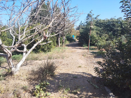 Se Vende Terreno En La Comuna De Quillota