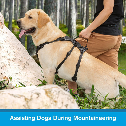 Arnés Para Perro Coodeo Ajustable Con Asa