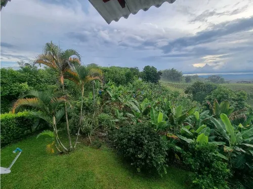 Finca De 3 Cuadras En Venta A 15 Minutos De Calarcá