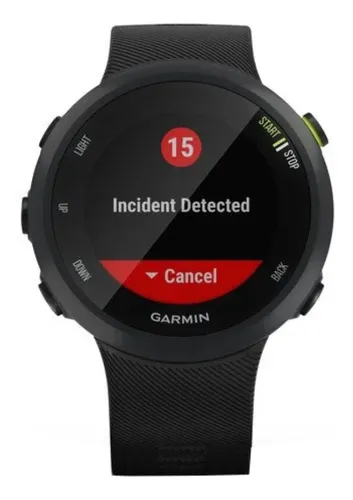 Smartwatch Garmin Forerunner 45 1.04