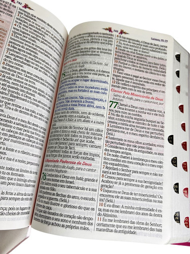 Bíblia De Estudo Da Mulher Sábia Full Color Com Harpa Capa Magnólia Pink Com Índice