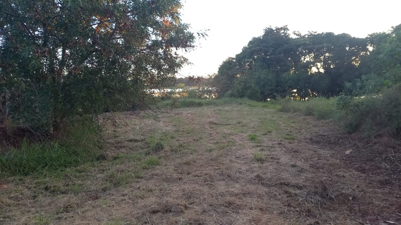 Captação de Terreno a venda no bairro Jardim Santa Efigenia, Sabino, SP