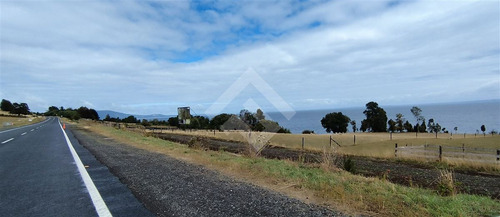 Sitio - 5.000 M2 Cada Uno - Cascadas - Puerto Octay