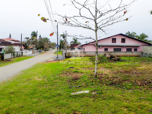 Imagem 4 de 11 de Terreno | Pinheiros | Bal. Barra Do Sul - 078