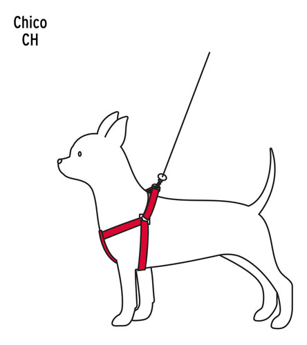 Correa Con Pechera Para Perro 1cm Ancho Fiero