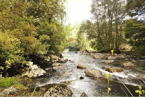 Venta Parcela Pucón Con Acceso A Rio Carhuello