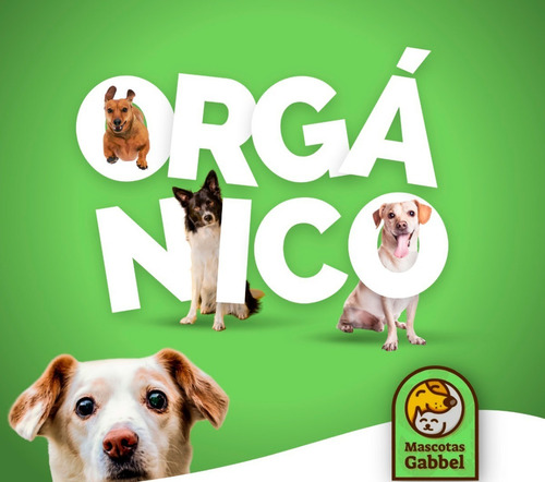 Imagen 5 de 8 de Shampoo Ph Neutro Orgánico Para Mascotas
