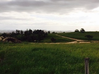 Imagem 4 de 16 de Área À Venda, 178400 M² Por R$ 6.779.200,00 - Caputera - Sorocaba/sp - Ar0002