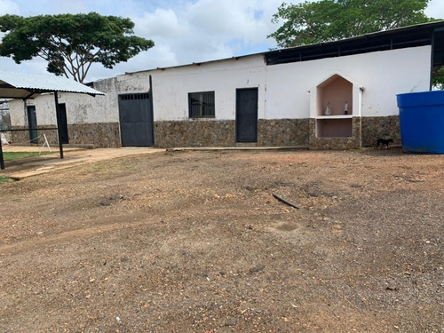 Imagen 3 de 8 de En Venta Caballeriza. En Guárico. Ve03-532-mros