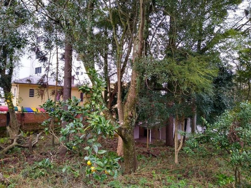 Imagem 6 de 7 de Terreno - Centro - Ref: 7652 - V-7652