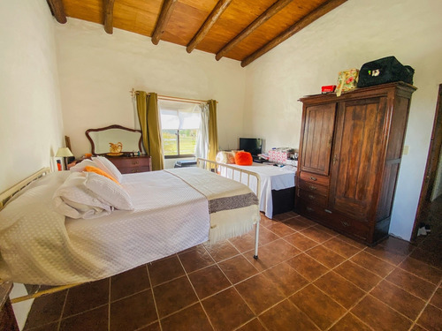 Imagen 4 de 14 de Campo En Venta De 150000m2 Ubicado En Maldonado