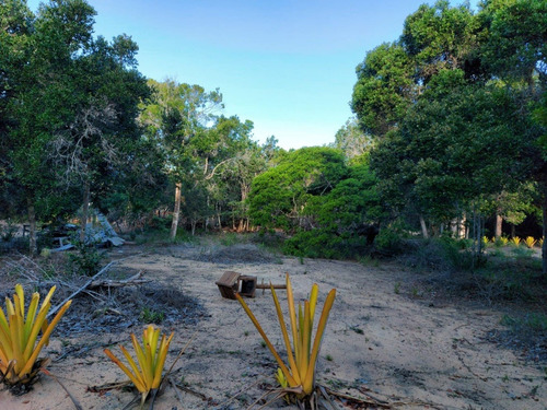 Imagem 15 de 23 de Terreno À Venda Em Arraial D'ajuda - Porto Seguro, Terreno Plano Com Área Limpa Pronta Para Construção, Ponto De Água, Energia, Área De Lazer E Playground