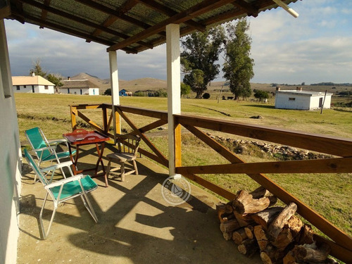 Imagen 7 de 30 de Las Anacahuitas En Lavalleja