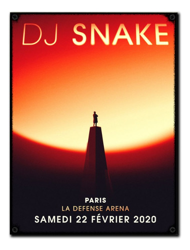 #101 - Cuadro Vintage 30 X 40 - No Chapa Dj Snake Trap Music