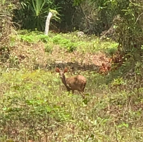 Lote En Venta En La Ruta De Los Cenotes. Qta. Roo.