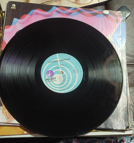 Disco De Vinilo (Usado)