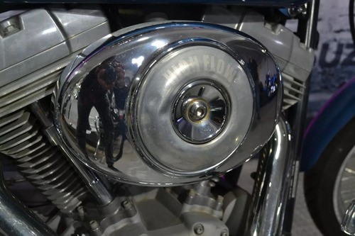 Harley Davidson Softail Standar 1450cc, Excelente Opción