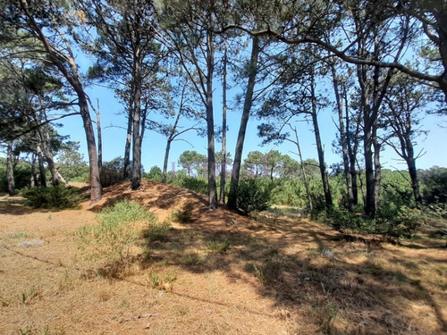 Imagen 3 de 12 de Venta De Lote En Barra Verde, La Barra, Uruguay - La Barra Barra Verde