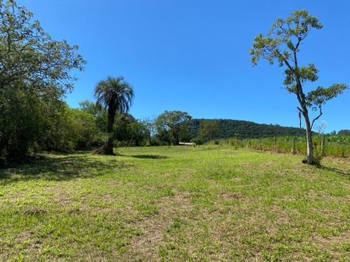 Chácara 4.300 M² - Lomba Grande - Novo Hamburgo - Rs - 2503 - 69237736