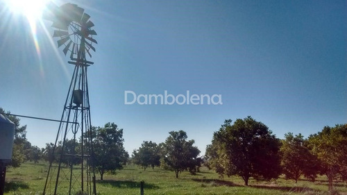 Imagen 15 de 25 de Terreno En Venta O Permuta Ubicado En Punta Indio, Resto De La Provincia