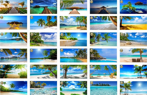 Painel Em Lona Praia 4x2 Banner, Fosco (13)