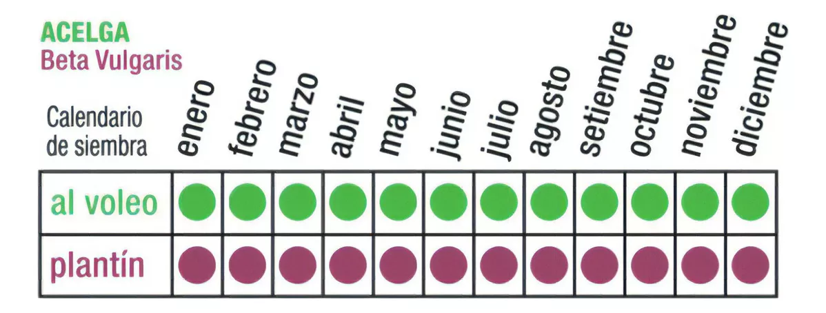 Primera imagen para búsqueda de semillas