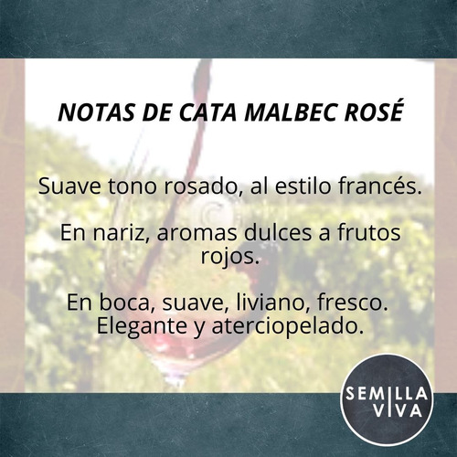 Imagen 2 de 10 de Vino Orgánico Malbec Rosé Bodega Familia Cecchin 3 X 750 Cc