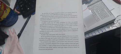 El Sol Detras Del Limonero Angela Pradelli (Usado)
