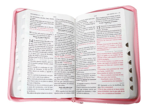 Biblia Rvr1960 Let Grande Imit Piel Rosa Claro Cierre/índice