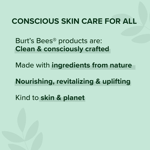 Bálsamo Labial Burt's Bees Medicated Lip Balm, Pacote Com 4,