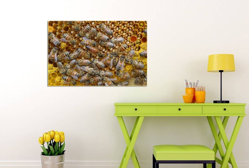 Cuadro 40x60cm Abejas Insectos Miel Colores Flores M4