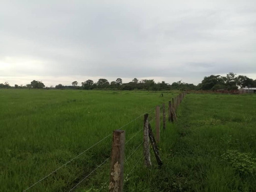 Imagen 11 de 17 de De Oportunidad Vendo Finca En El Cantón 283 Hectáreas Ah