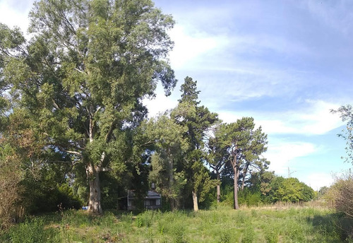 Terreno En Villa Rosa - Pilar De 4800 M2