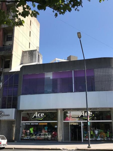 Imagen 1 de 27 de Oficina En Alquiler En La Plata