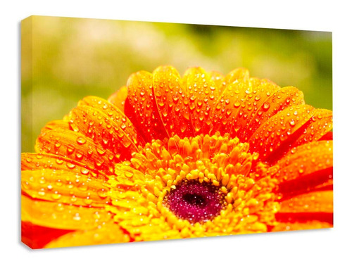 Cuadro Decorativo Canvas Floral Girasol Flor 60x40 Cm