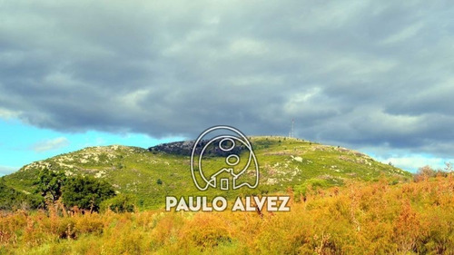 Imagen 6 de 10 de Chacras-venta-cerro-pan-de-azucar-ch025