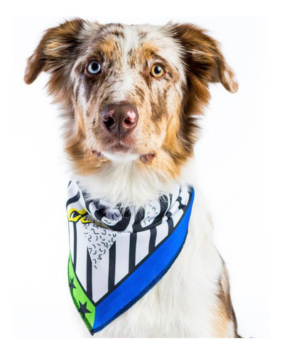 Imagen 1 de 9 de Bandanas Estampadas Para Perros. Varios Modelos
