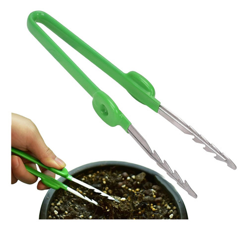Suculentas Pinzas Herramientas Bonsai Tool Pinzas De Punta