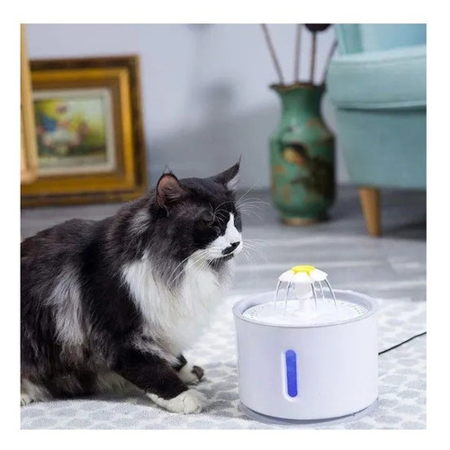 Imagen 8 de 10 de Fuente Dispensador Agua Eléctrico Bebedero Gatos +13 Filtros