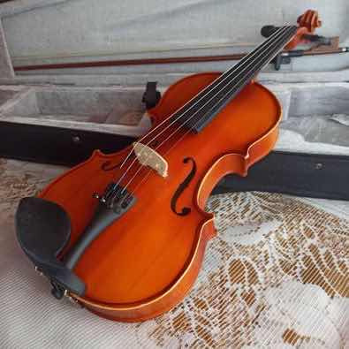 Violín, Incluye Varios Productos De Cambio!