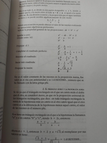 El Producto Del Diseño Y La Obra De Arte (Usado)