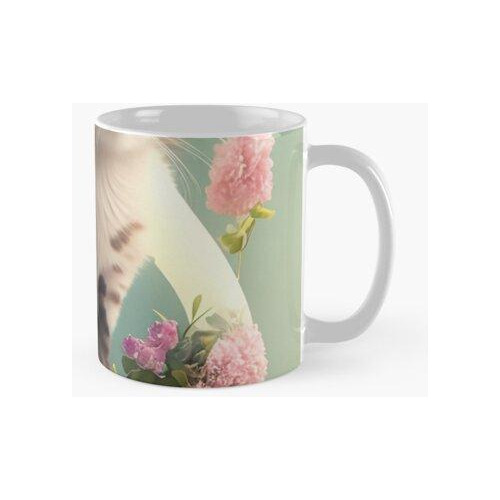 Taza Extravagantes Fundas Para Móviles Para Amantes De Los A