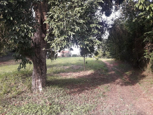 Imagem 2 de 6 de Terreno - Te00038 - 68741659
