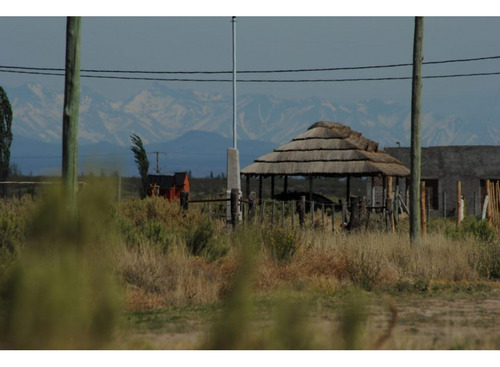 Terreno San Rafael Mendoza - Venta